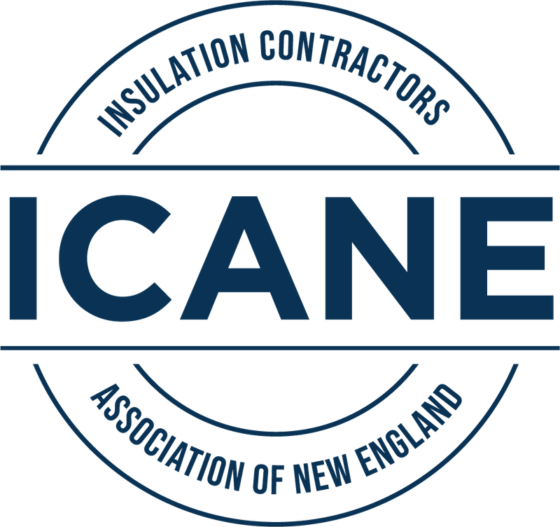 ICANE logo